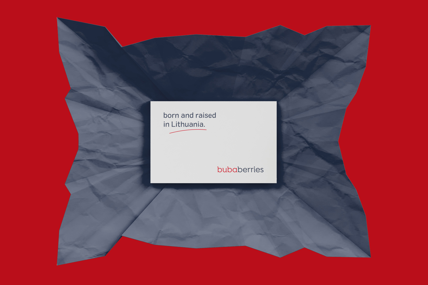 Business card with bubaberries branding