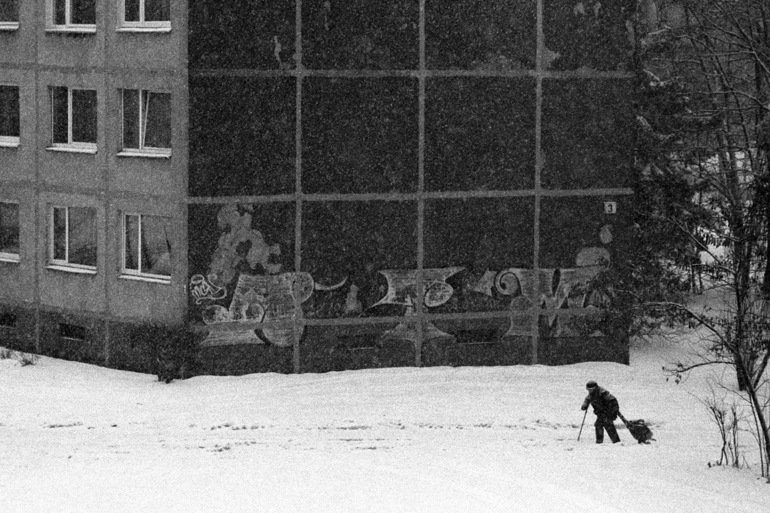 Grandma walking through snow storm